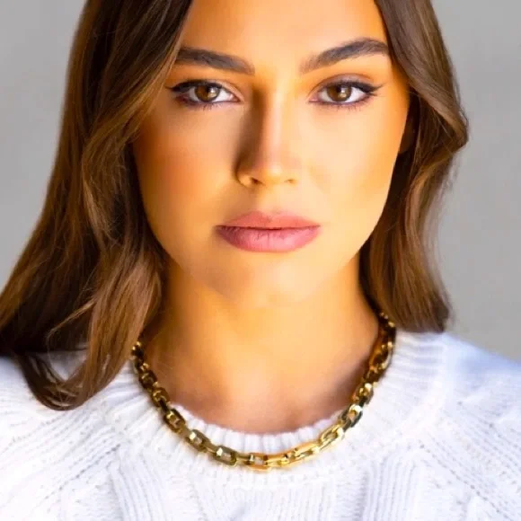 Eddie Borgo | [12K GOLD VERMEIL] Chunky Chain Supra Link Power Necklace - Picture 3 of 8